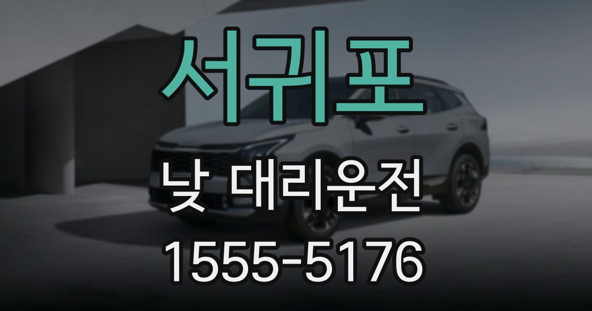 서귀포 낮 대리운전