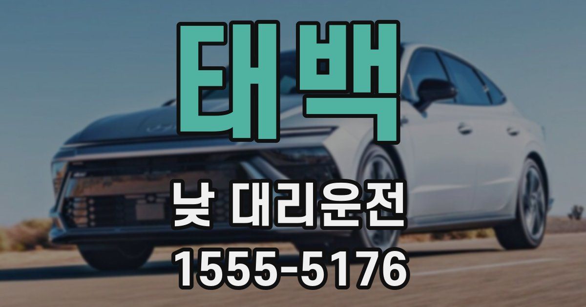 태백 낮 대리운전