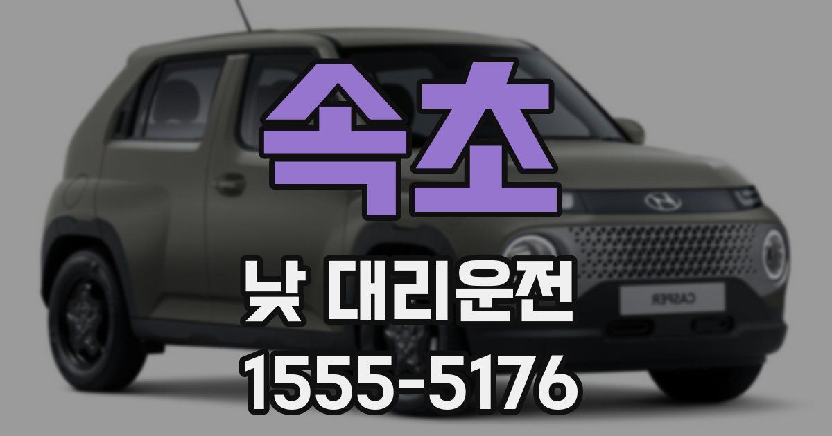 속초 낮 대리운전
