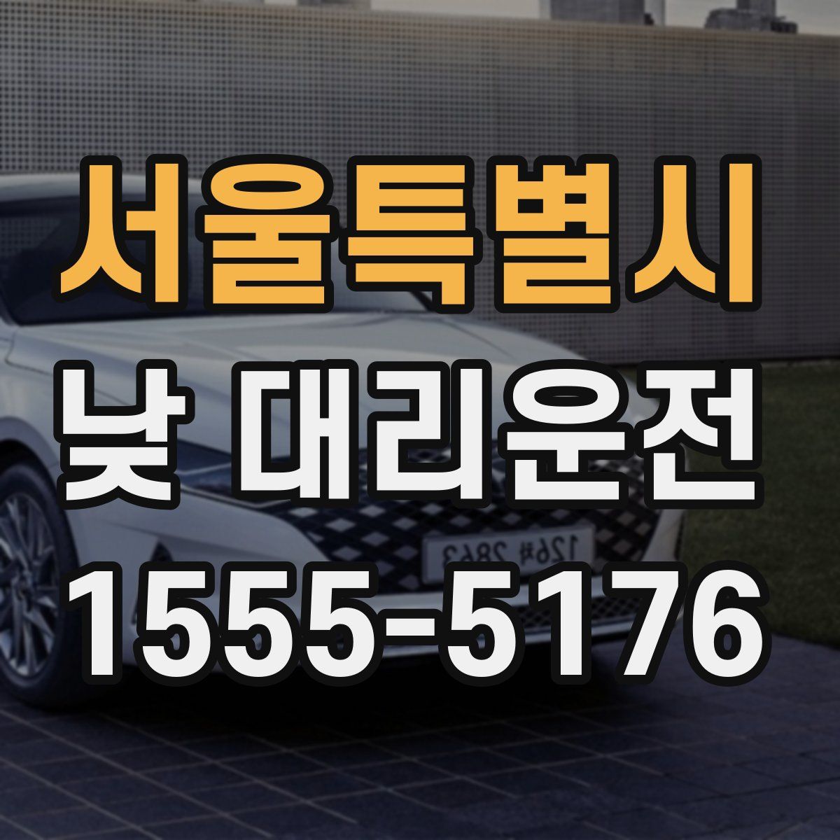 서울특별시 낮 대리운전