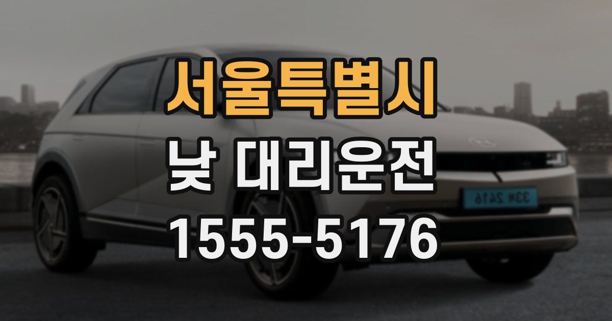 서울특별시 낮 대리운전