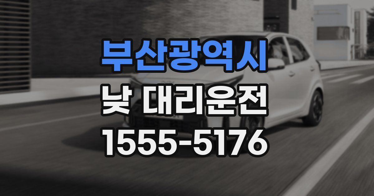 부산광역시 낮 대리운전