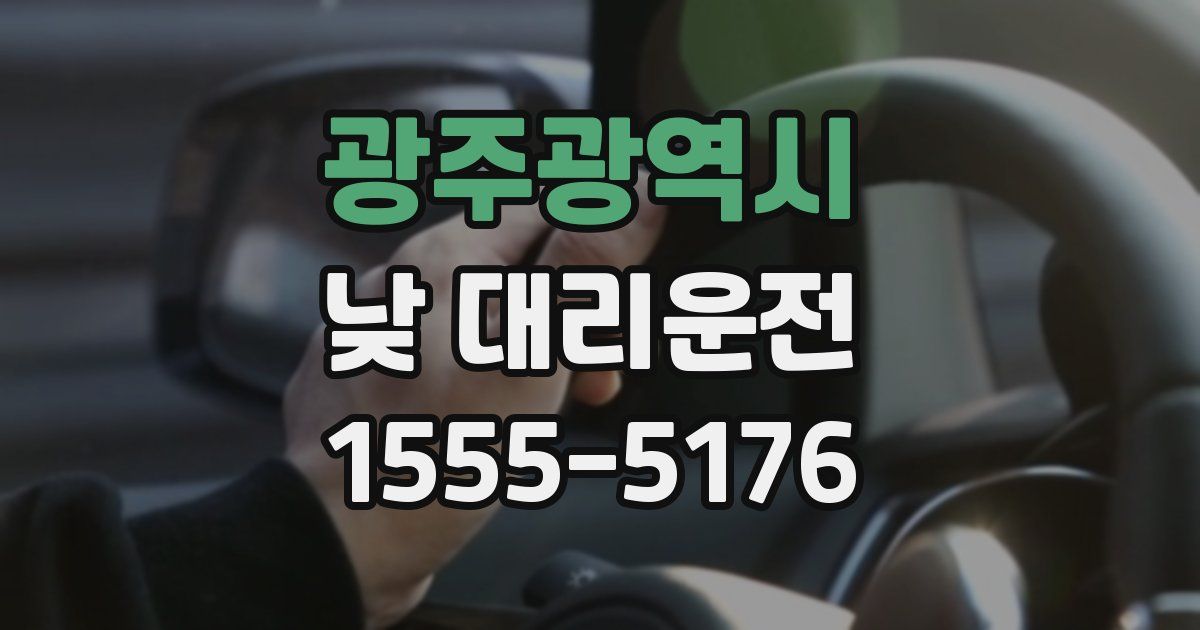광주광역시 낮 대리운전