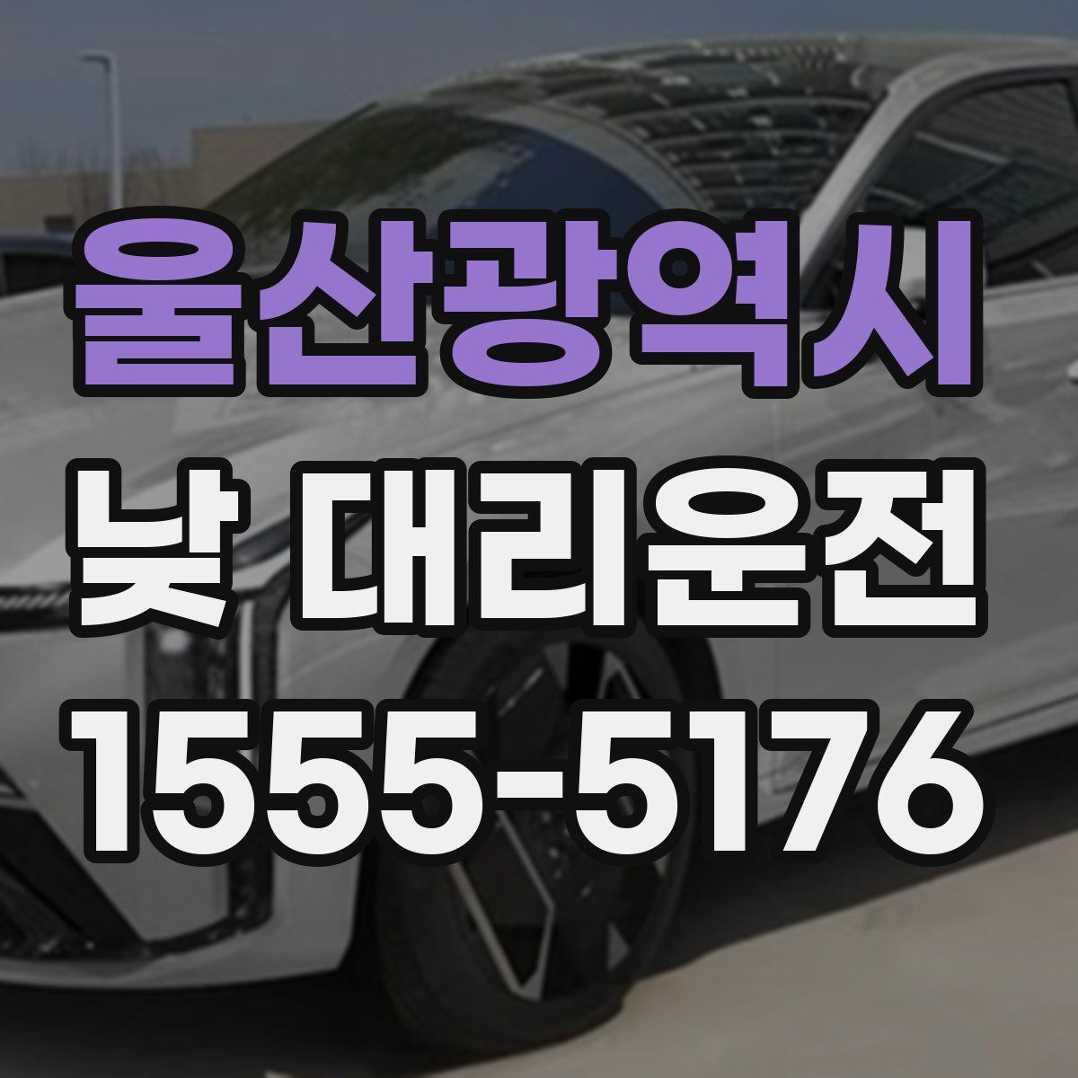울산광역시 낮 대리운전