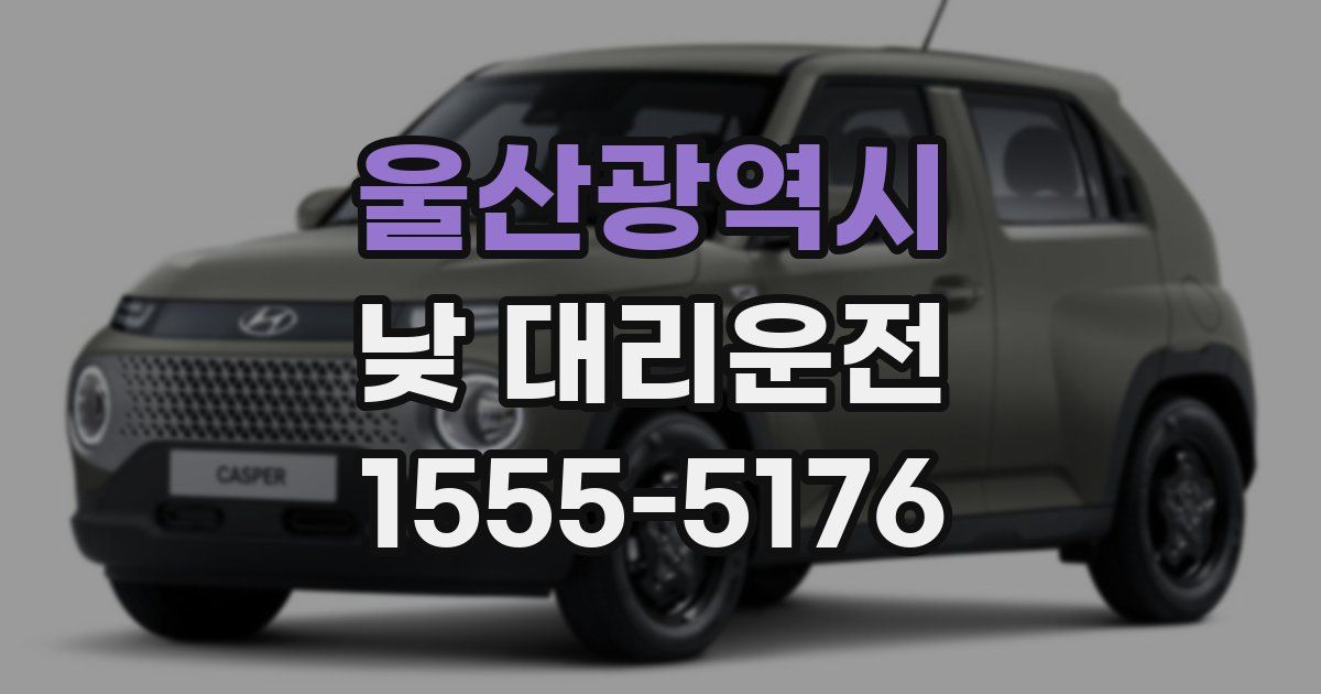 울산광역시 낮 대리운전