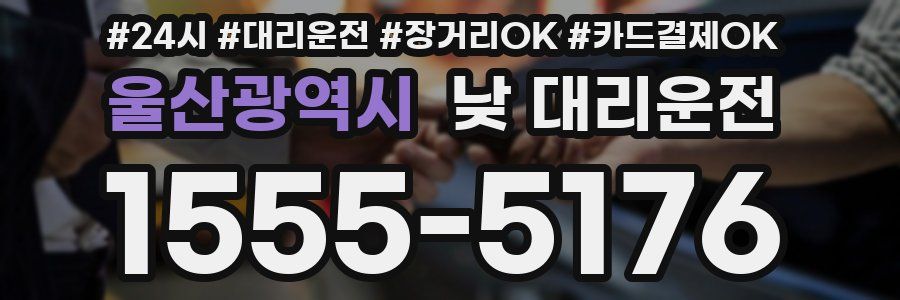 울산광역시 낮 대리운전