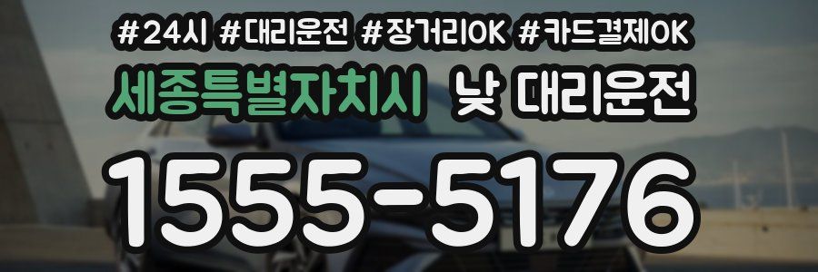 세종특별자치시 낮 대리운전