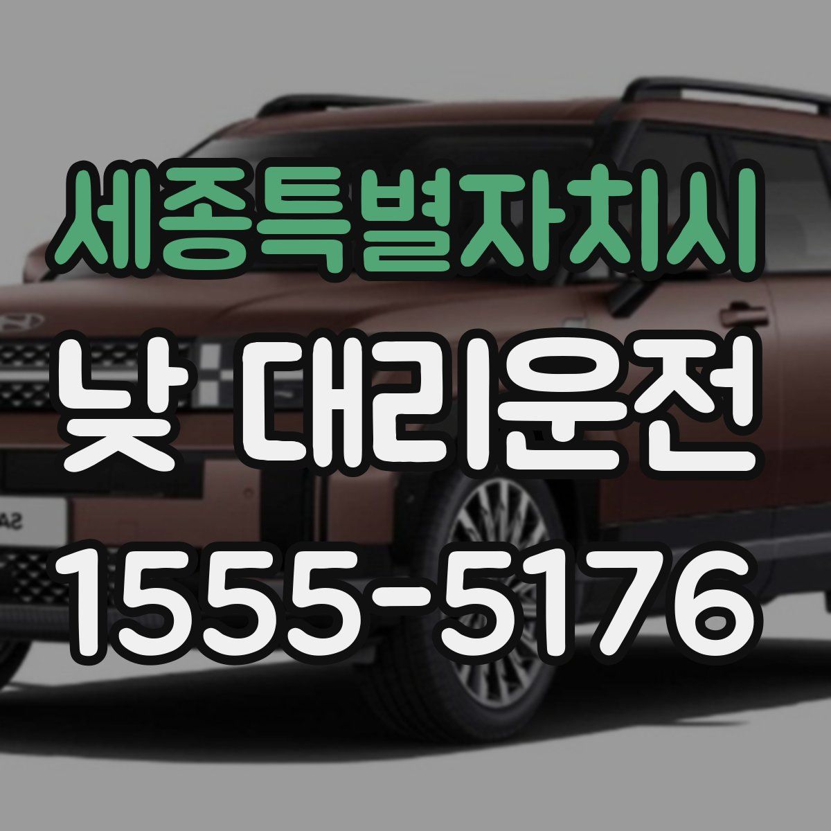 세종특별자치시 낮 대리운전