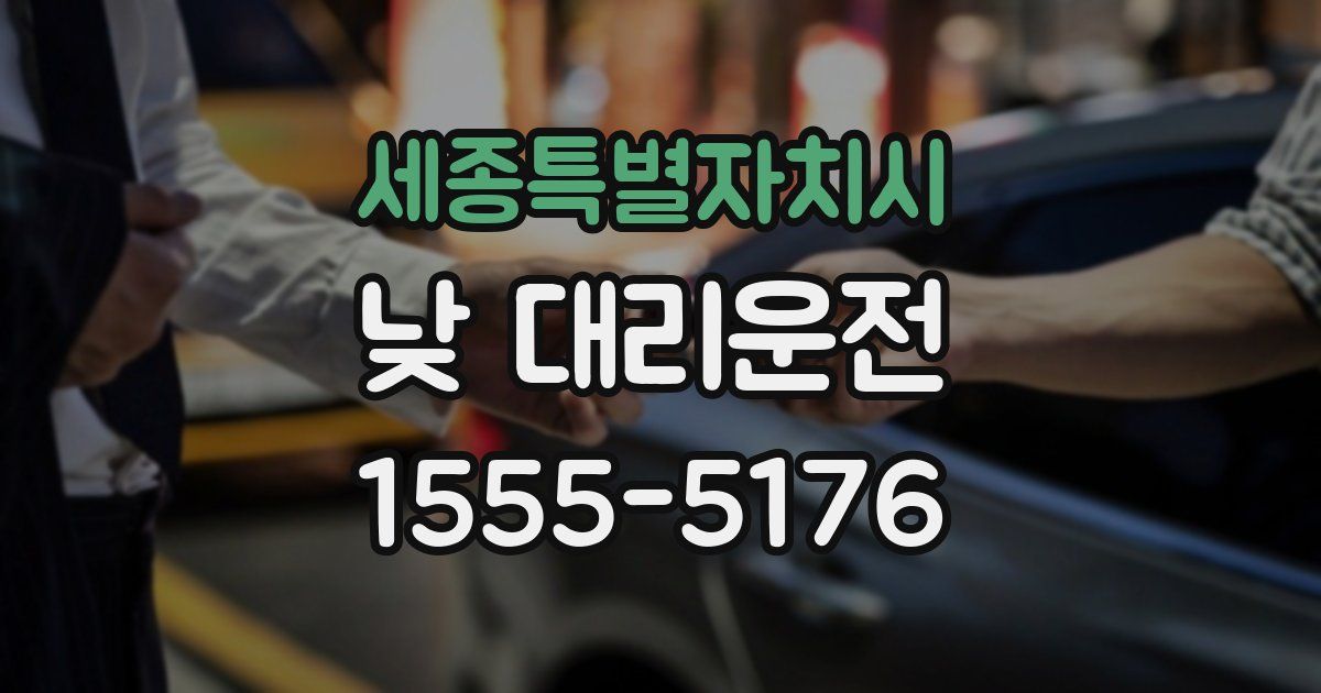 세종특별자치시 낮 대리운전