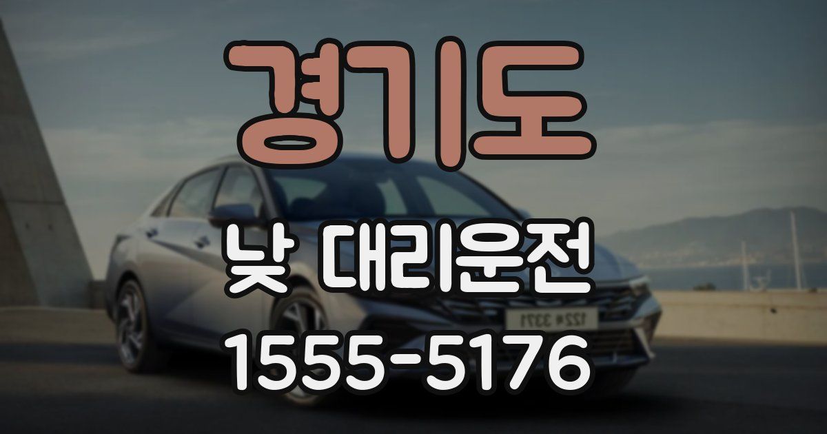 경기도 낮 대리운전