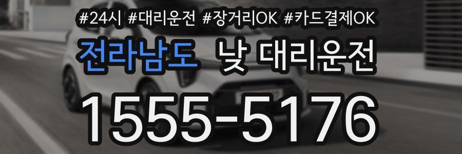 전라남도 낮 대리운전