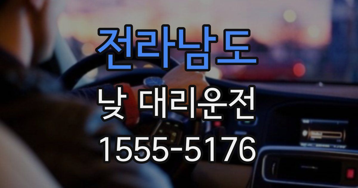 전라남도 낮 대리운전