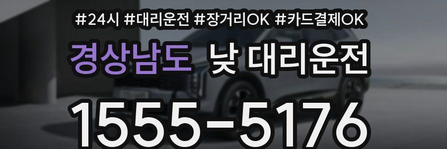 경상남도 낮 대리운전