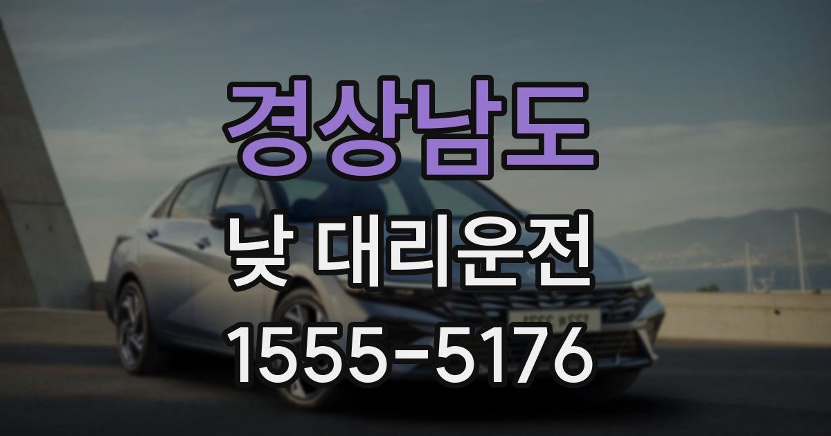 경상남도 낮 대리운전
