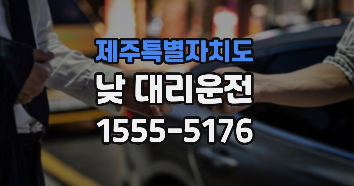 제주특별자치도 낮 대리운전