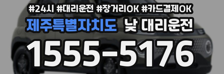 제주특별자치도 낮 대리운전