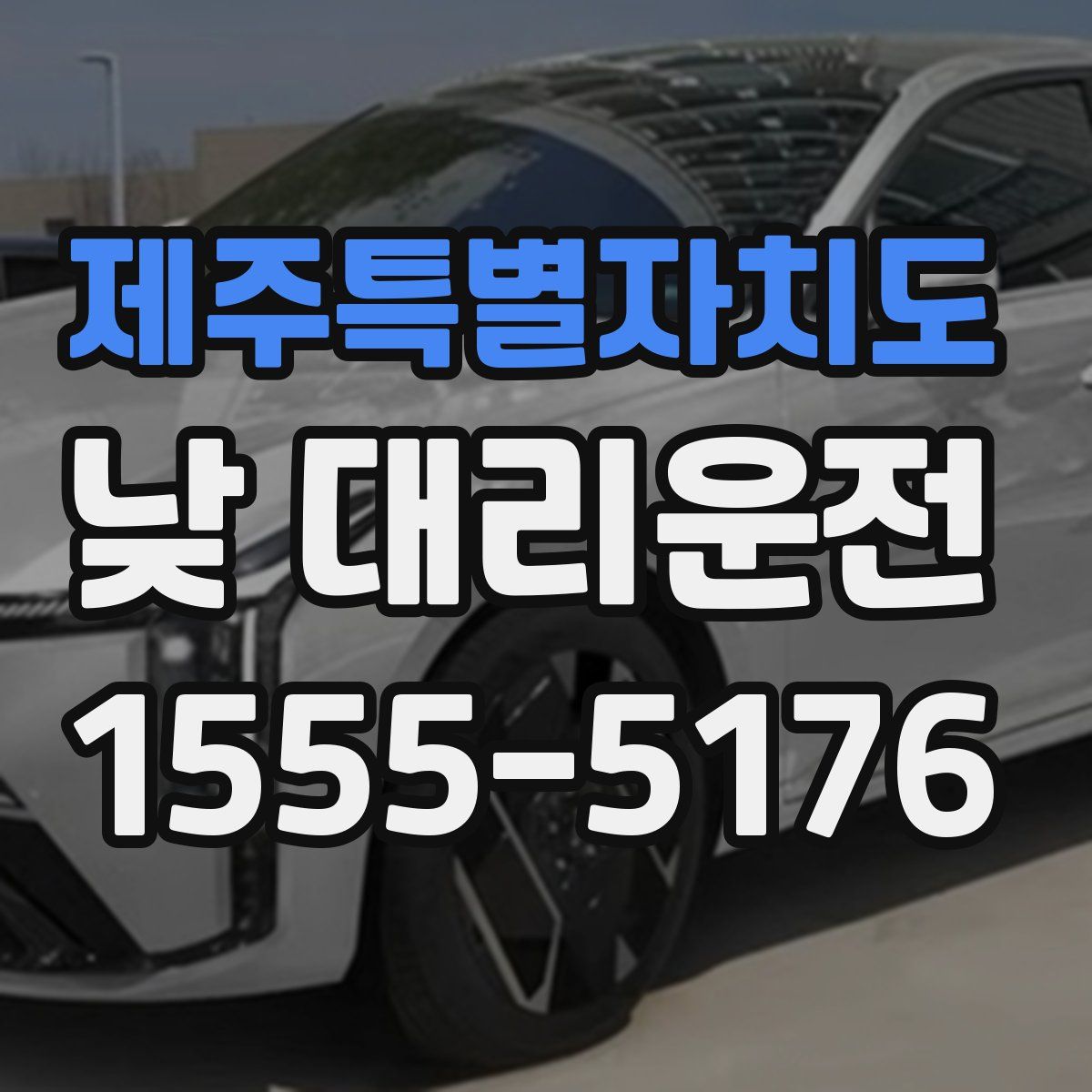 제주특별자치도 낮 대리운전