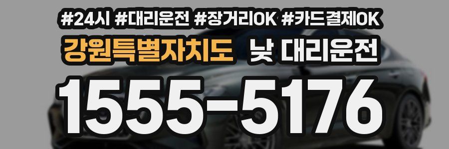 강원특별자치도 낮 대리운전