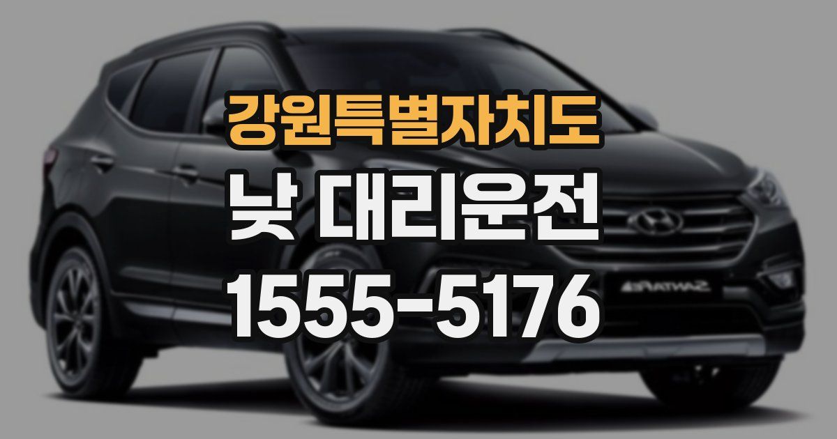 강원특별자치도 낮 대리운전