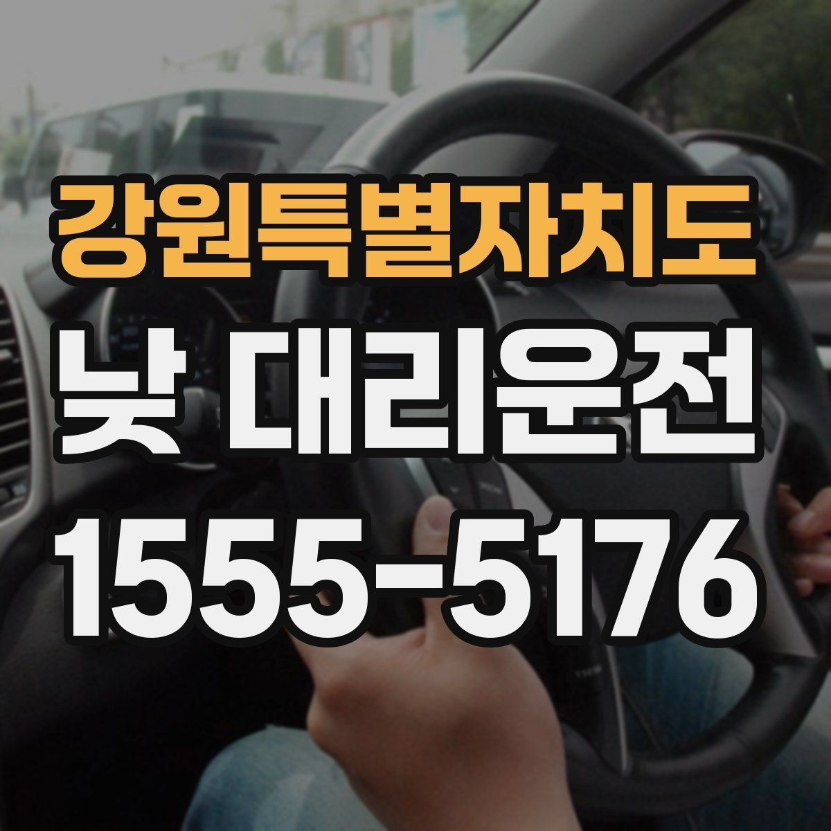 강원특별자치도 낮 대리운전