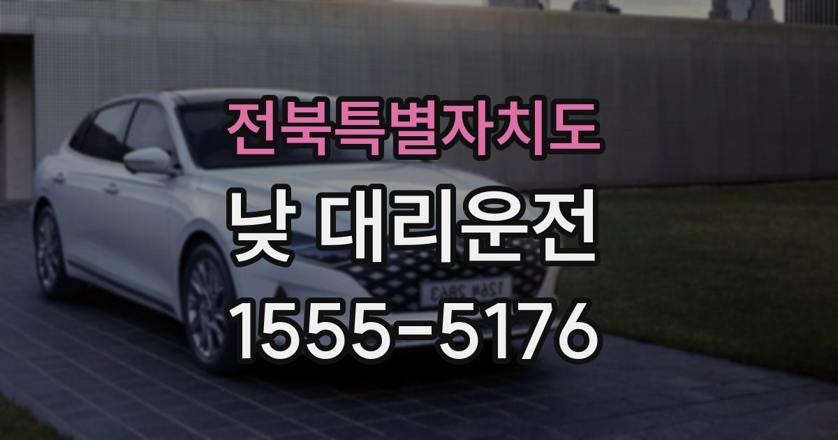 전북특별자치도 낮 대리운전