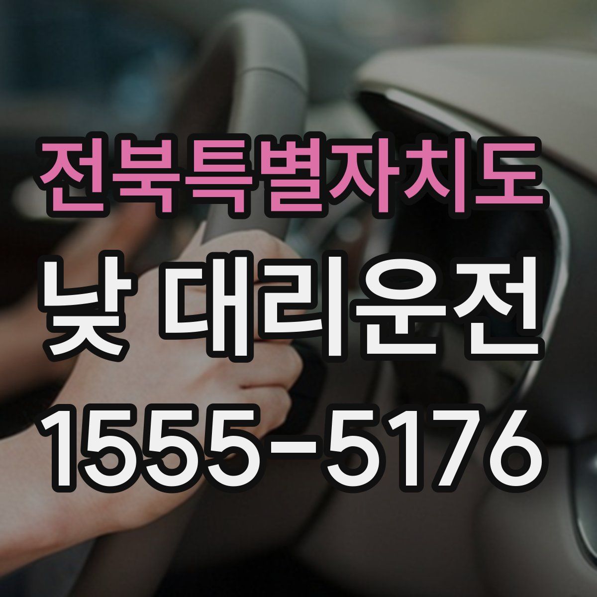 전북특별자치도 낮 대리운전