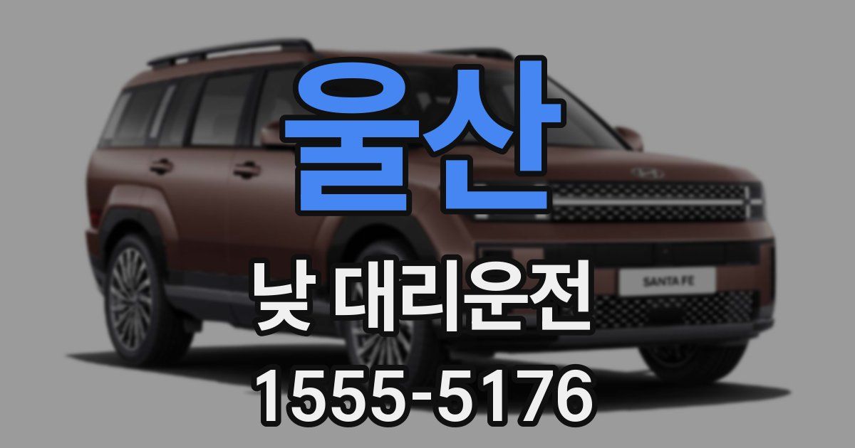 울산 낮 대리운전