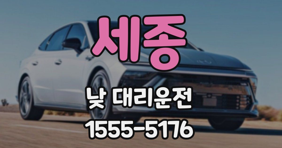 세종 낮 대리운전