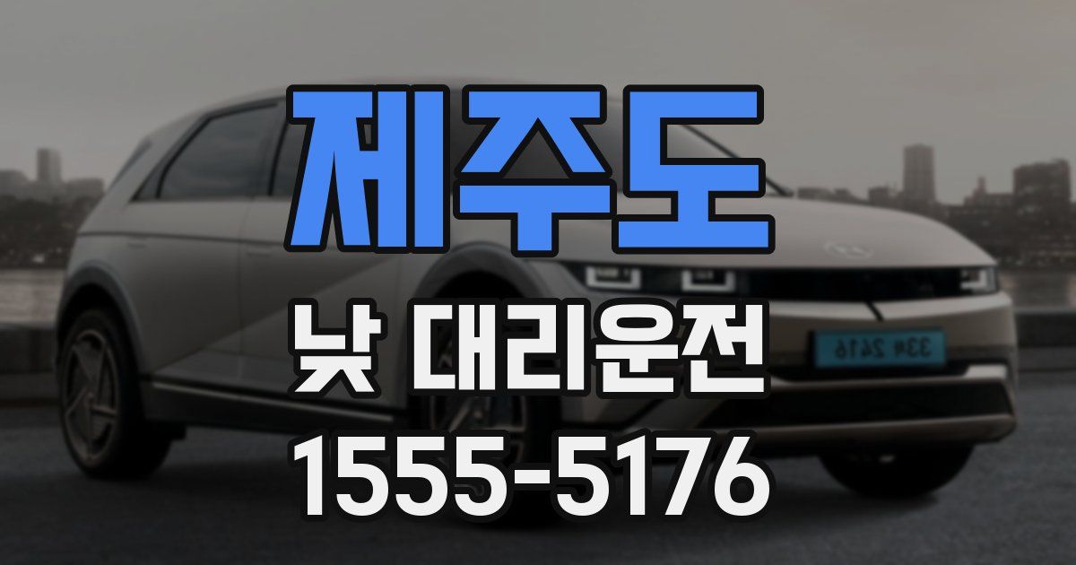 제주도 낮 대리운전
