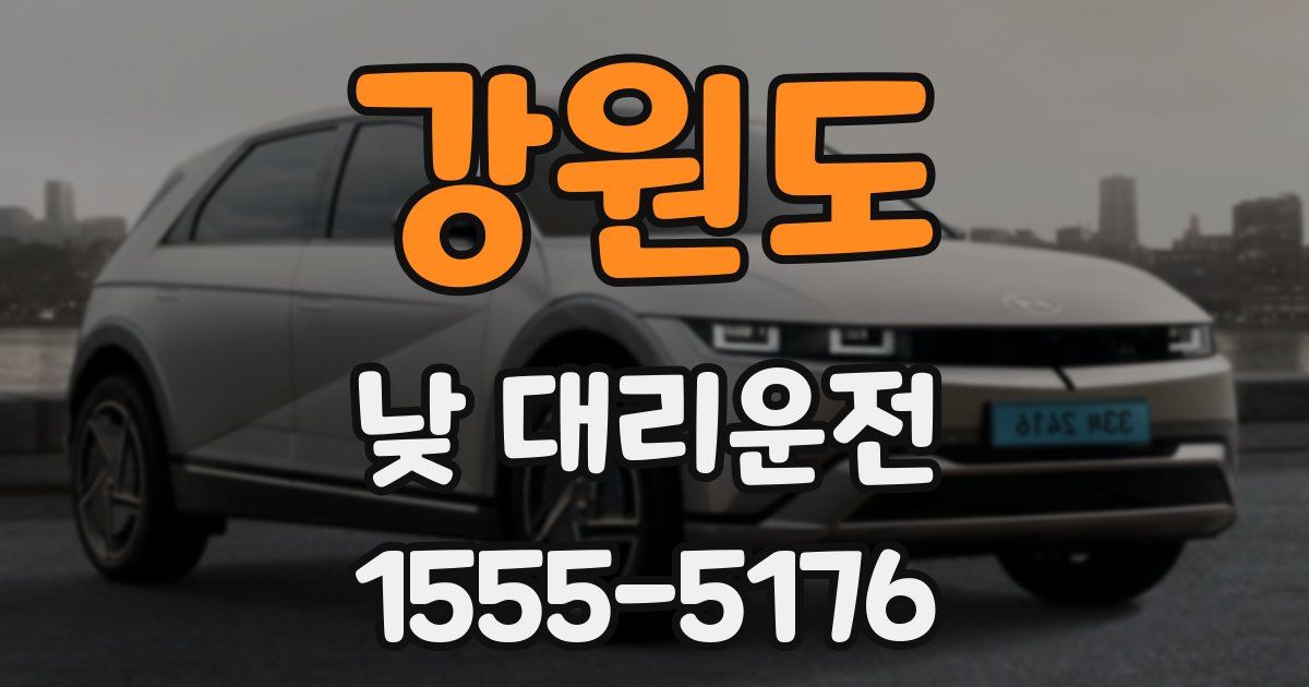 강원도 낮 대리운전