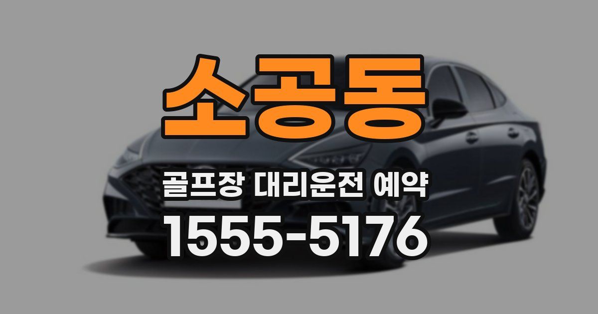소공동 골프장 대리운전 예약