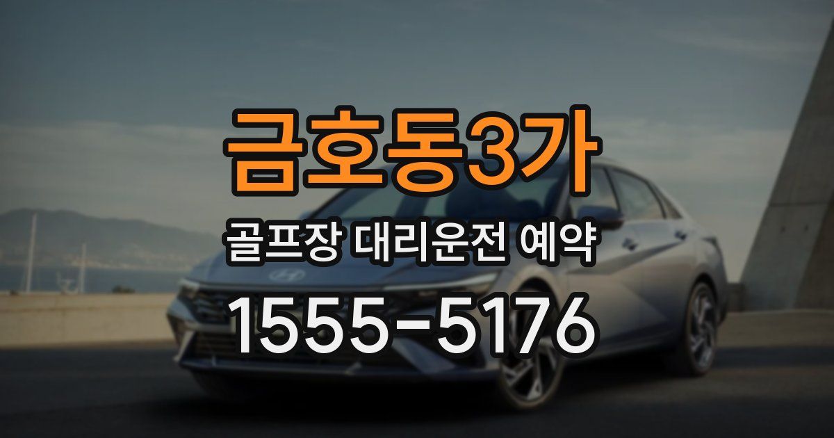 금호동3가 골프장 대리운전 예약