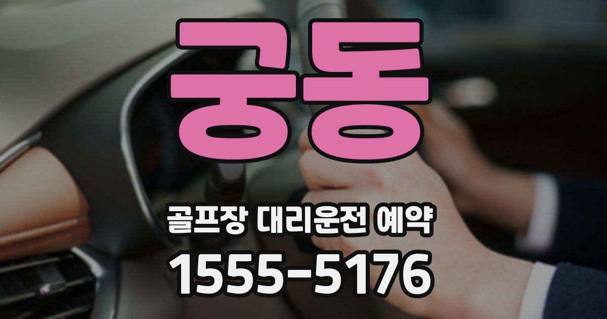 궁동 골프장 대리운전 예약