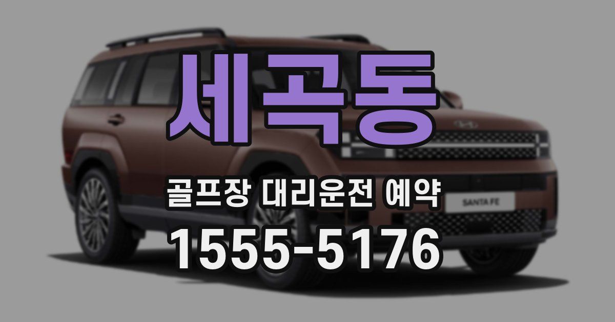 세곡동 골프장 대리운전 예약