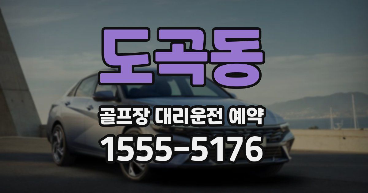 도곡동 골프장 대리운전 예약