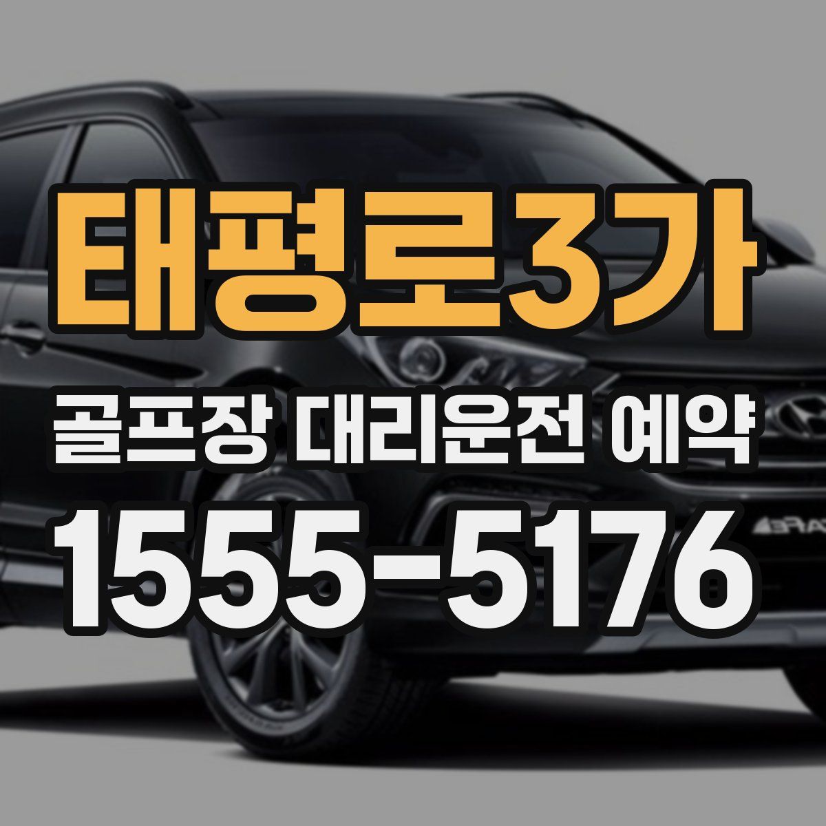 태평로3가 골프장 대리운전 예약