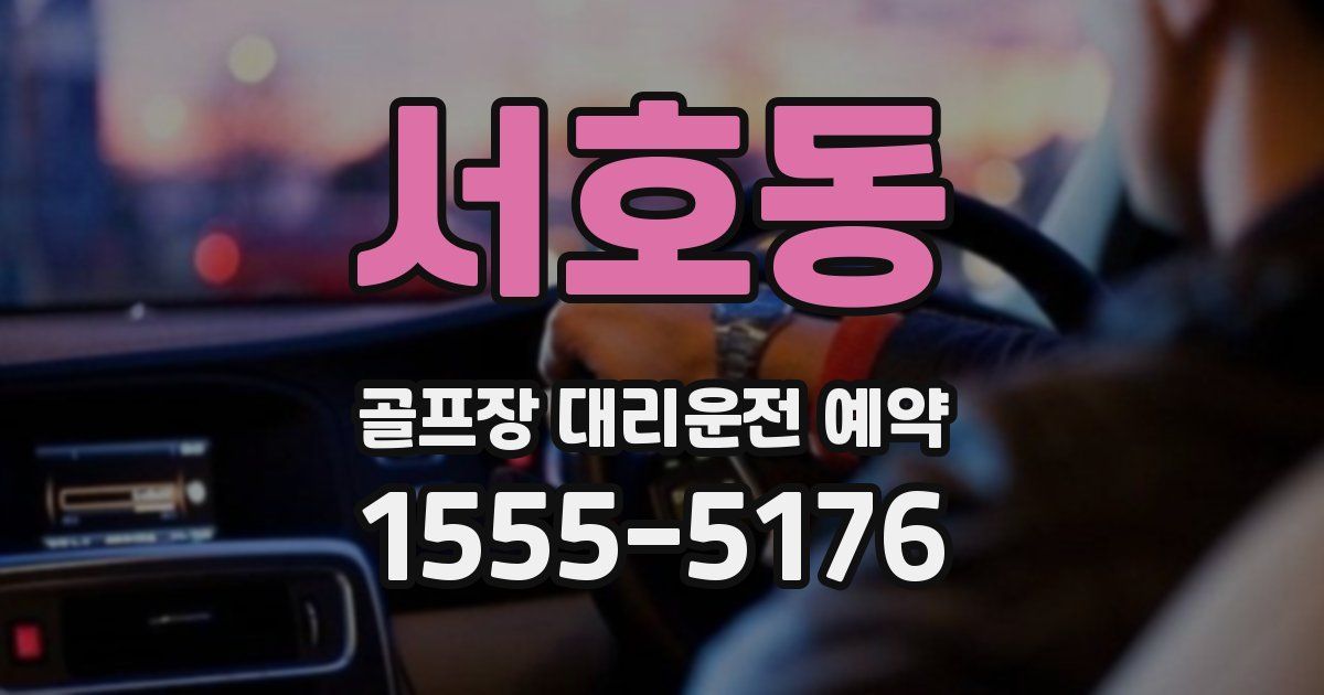 서호동 골프장 대리운전 예약