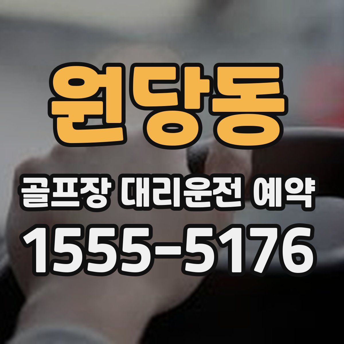 원당동 골프장 대리운전 예약