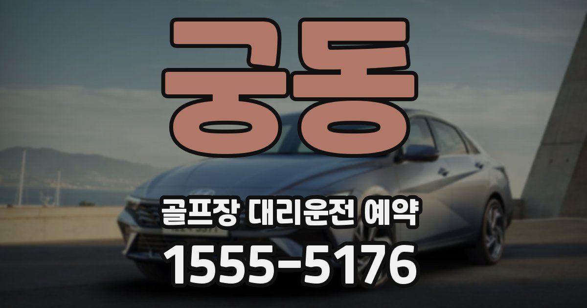 궁동 골프장 대리운전 예약