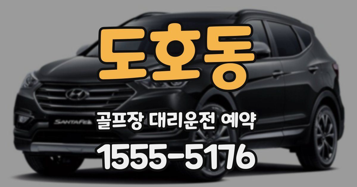 도호동 골프장 대리운전 예약