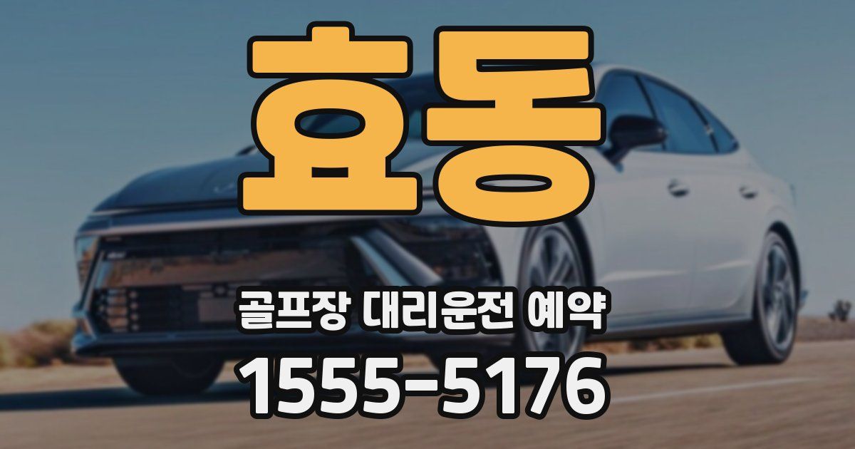 효동 골프장 대리운전 예약
