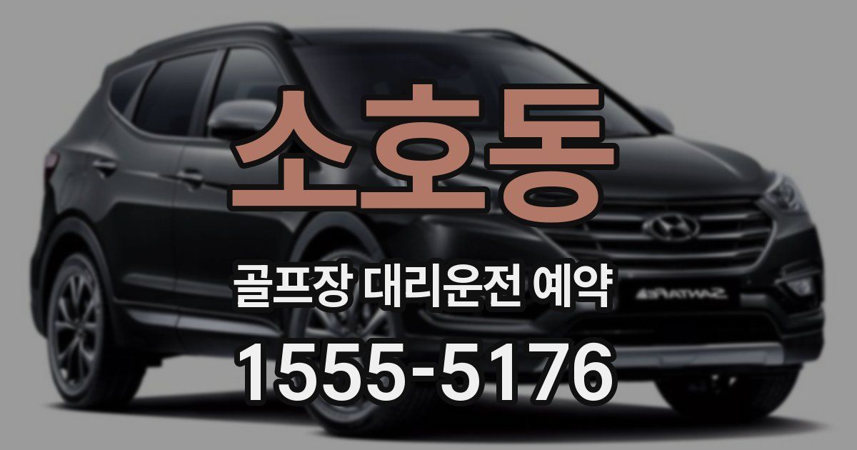 소호동 골프장 대리운전 예약