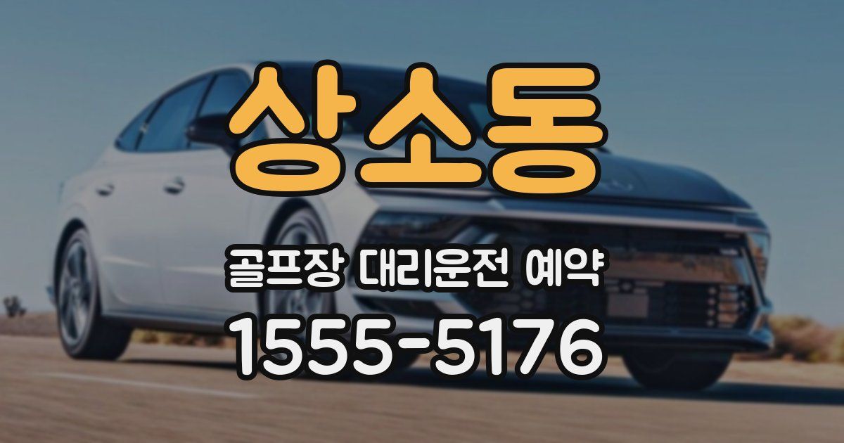 상소동 골프장 대리운전 예약