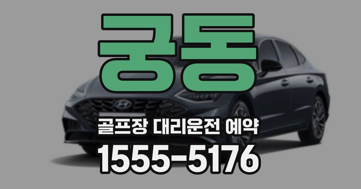 궁동 골프장 대리운전 예약