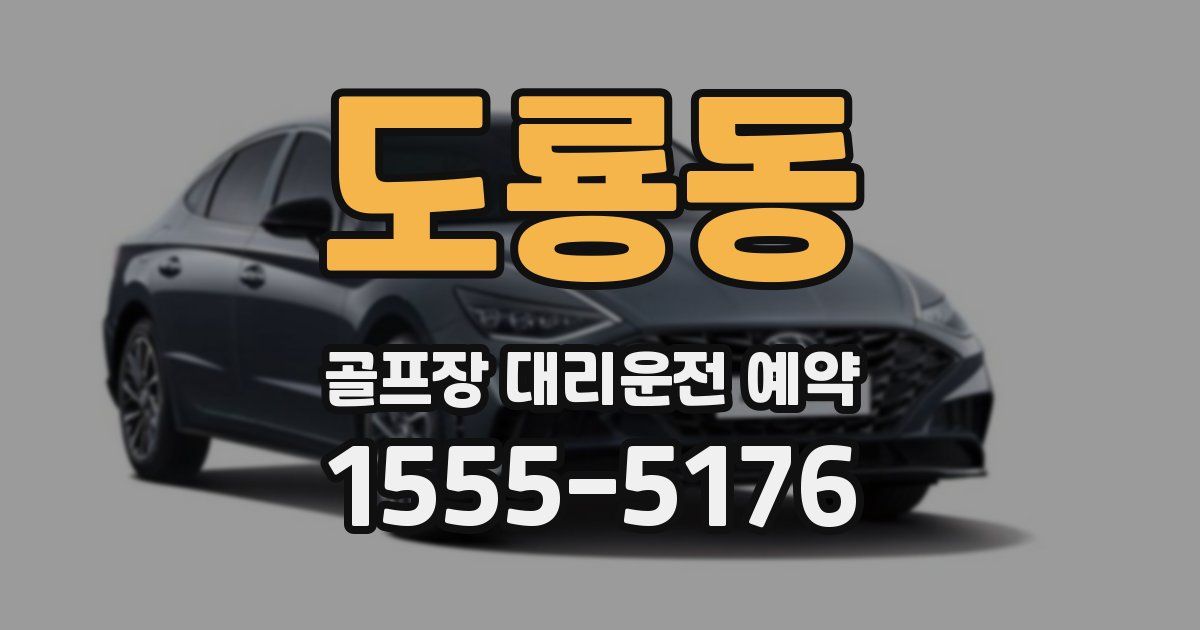 도룡동 골프장 대리운전 예약
