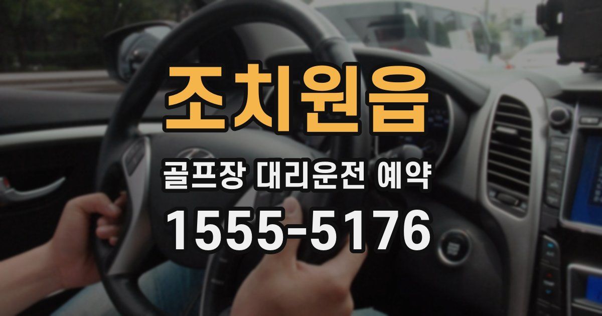 조치원읍 골프장 대리운전 예약