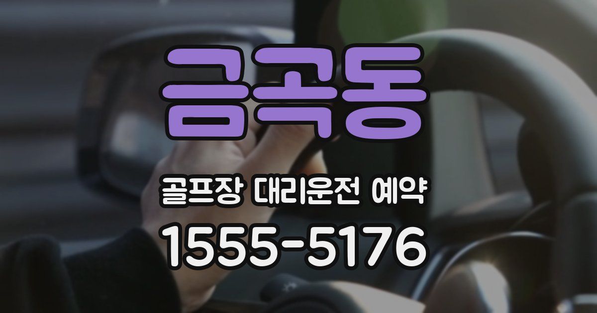 금곡동 골프장 대리운전 예약