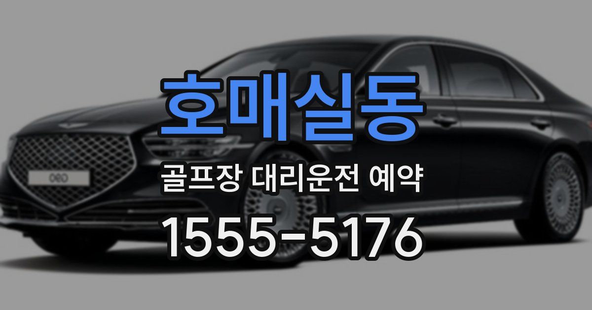 호매실동 골프장 대리운전 예약
