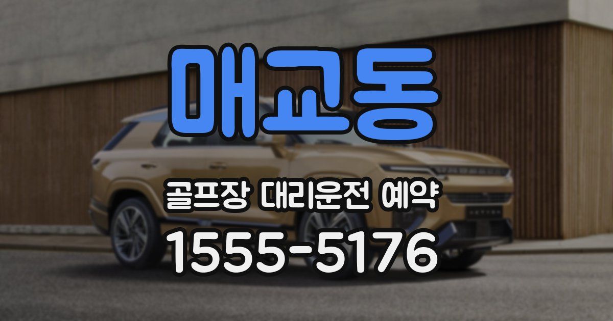 매교동 골프장 대리운전 예약