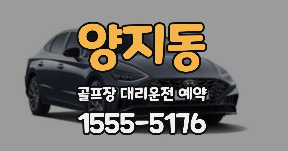 양지동 골프장 대리운전 예약